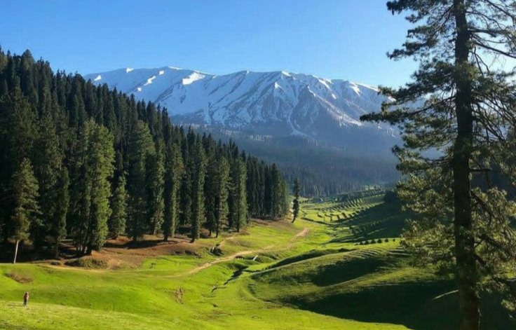 4N/5D Kashmir ( Sonmarg, Pahalgam, Gulmarg )